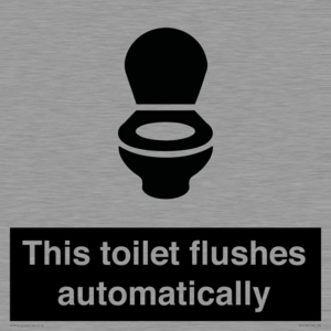 This toilet flushes automatically